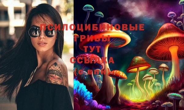твердый Балахна