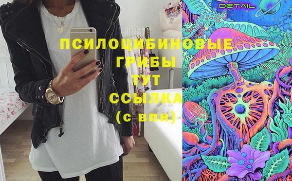 твердый Балахна