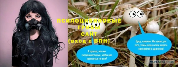 гашик Балабаново
