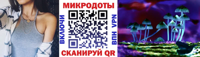 Галлюциногенные грибы Psilocybe  где можно купить   Гремячинск 